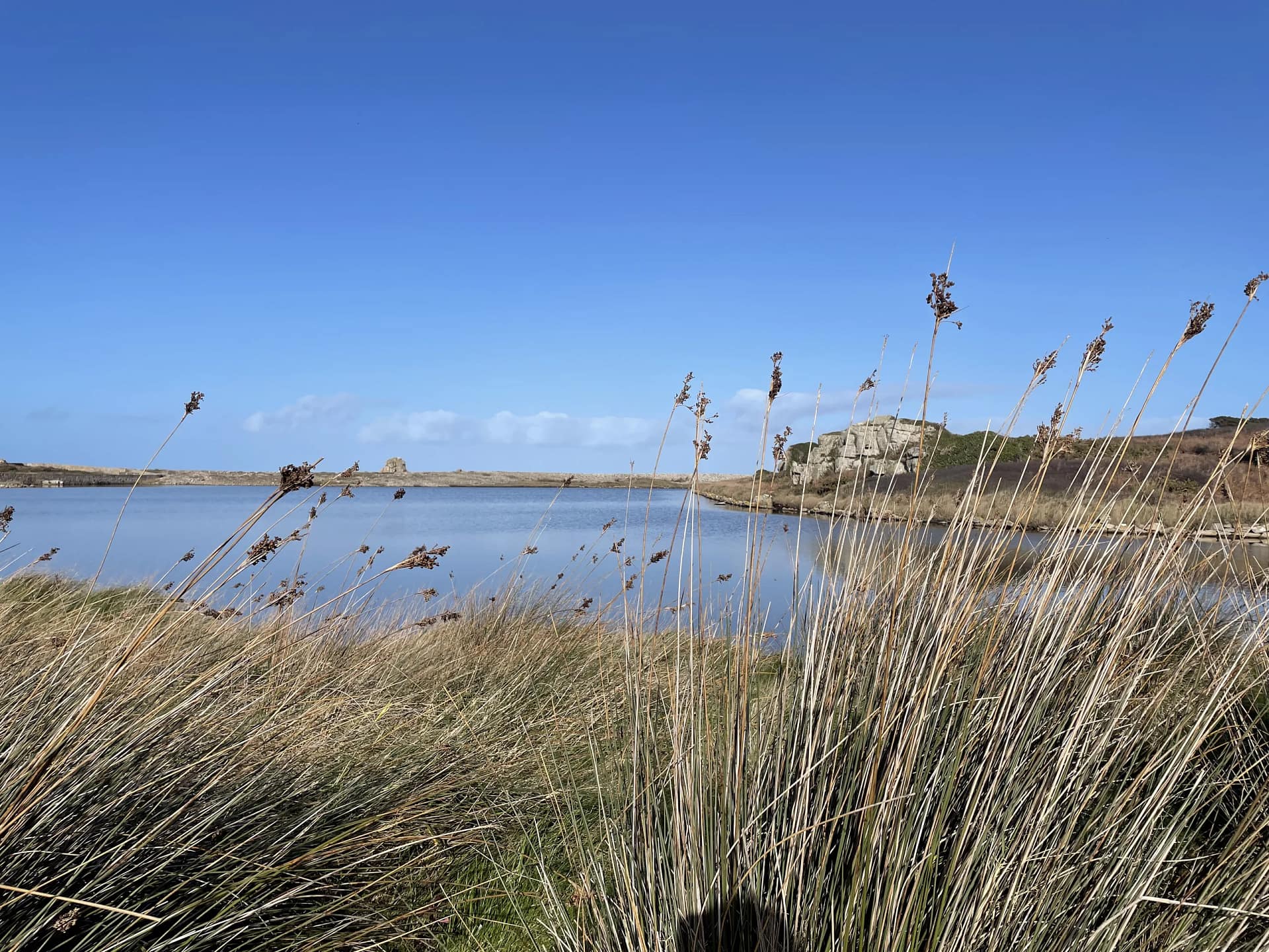 paysage de plougrescant en Bretagne